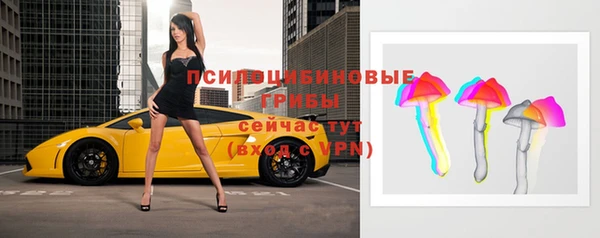 ГАЛЛЮЦИНОГЕННЫЕ ГРИБЫ Краснослободск