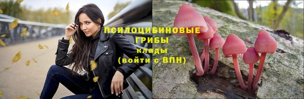 ГАЛЛЮЦИНОГЕННЫЕ ГРИБЫ Краснослободск
