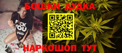 скорость Дубна