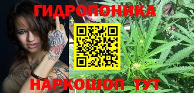 скорость Дубна