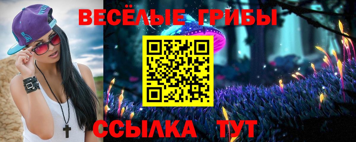 Галлюциногенные грибы мухоморы  Вход с VPN  Котовск 