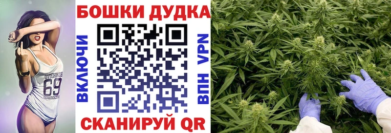 Канабис индика  наркота  Котовск 